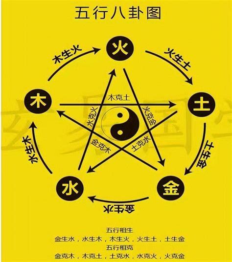 五行木多的人|雷門易：八字中木多木旺的人有哪些命運特征？